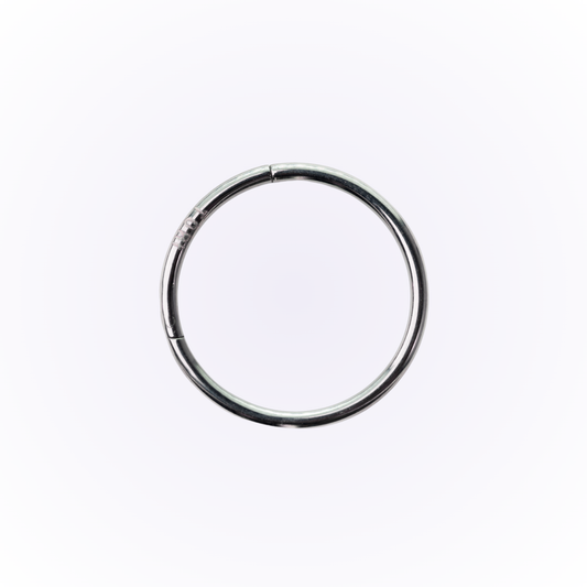 Timeless Titanium – Plain Seamless Hinged Hoop