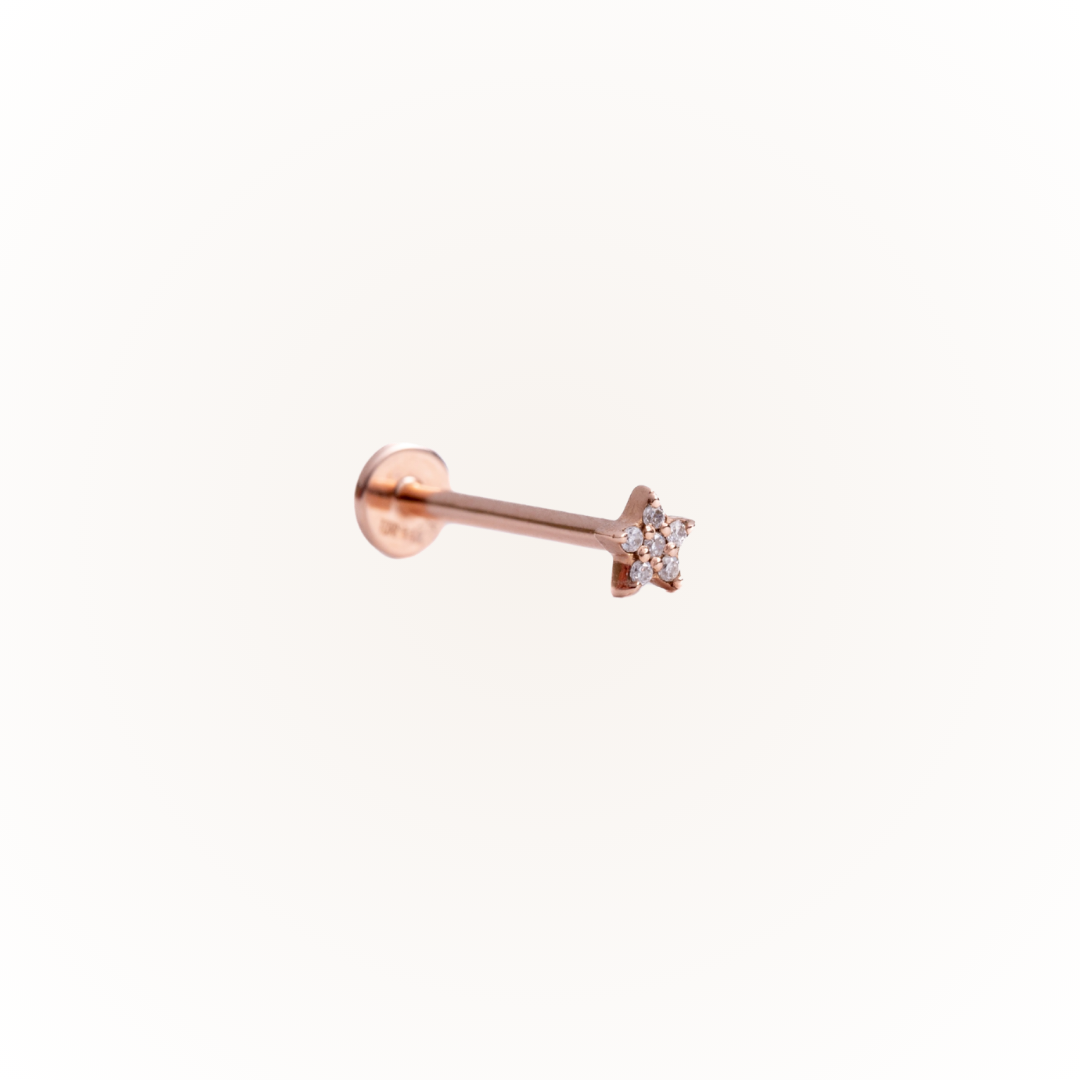 Guidance in Rose Gold - Diamond Threaded Flatback Stud