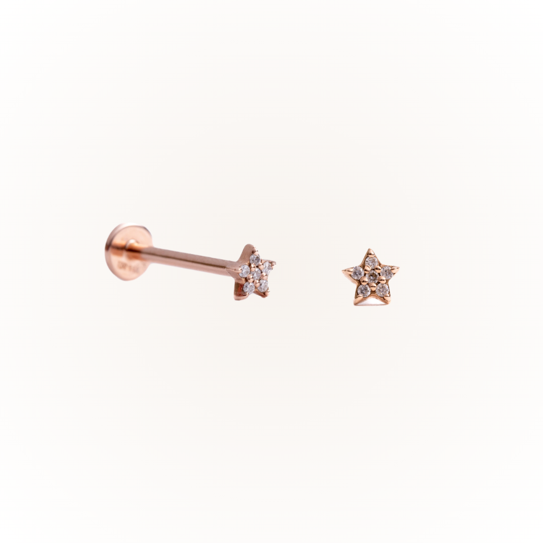 Guidance in Rose Gold - Diamond Threaded Flatback Stud