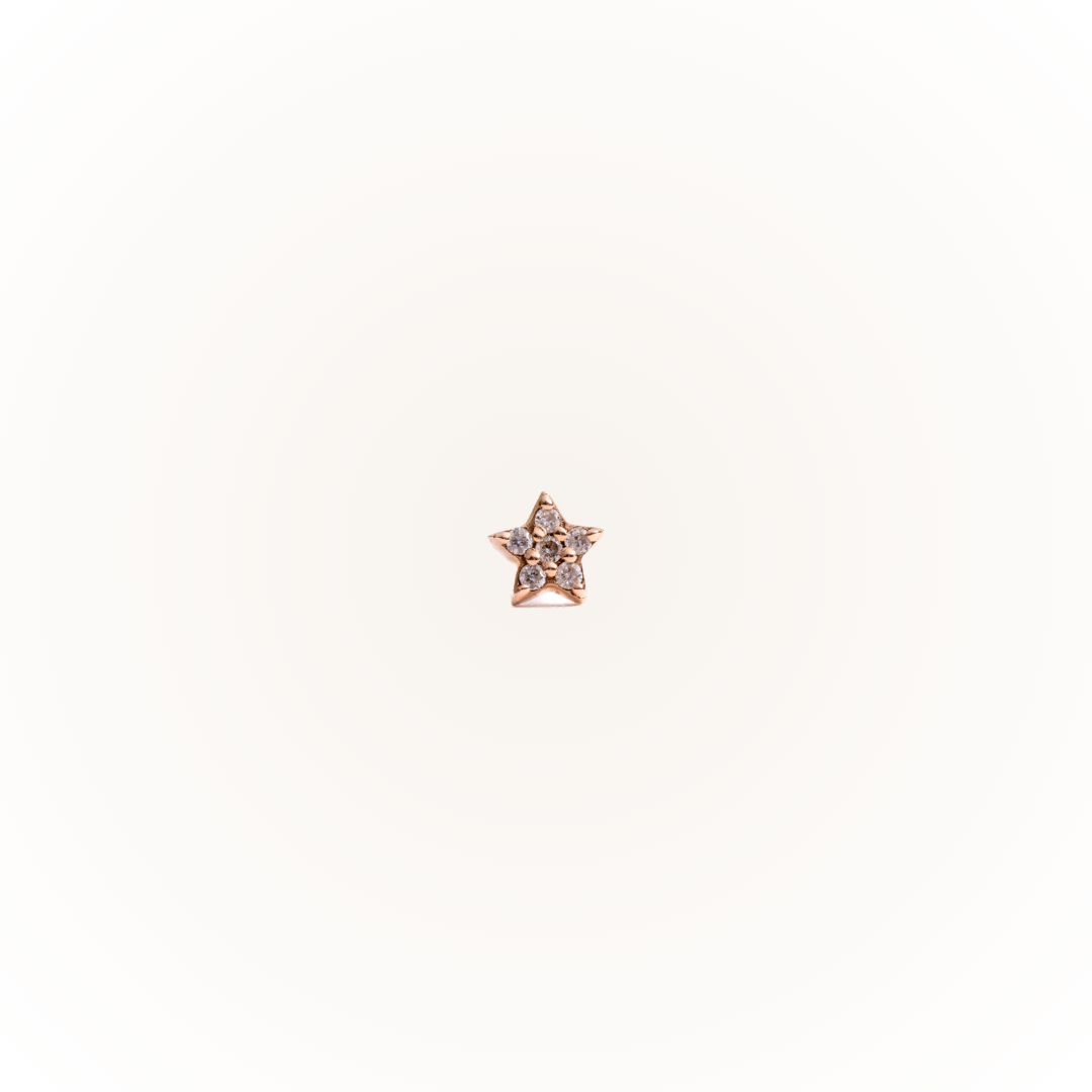 Guidance in Rose Gold - Diamond Threaded Flatback Stud