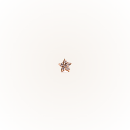 Guidance in Rose Gold - Diamond Threaded Flatback Stud