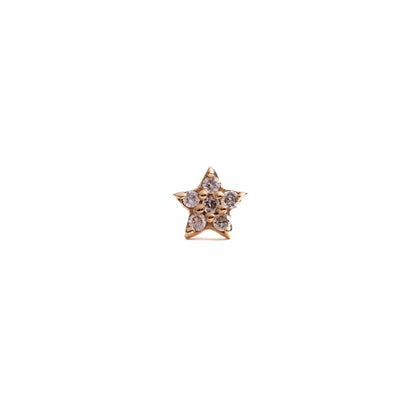 Guidance - Single Earring