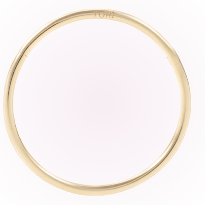 XL Minimalist Hinged Hoop - Seamless Hinged Hoop