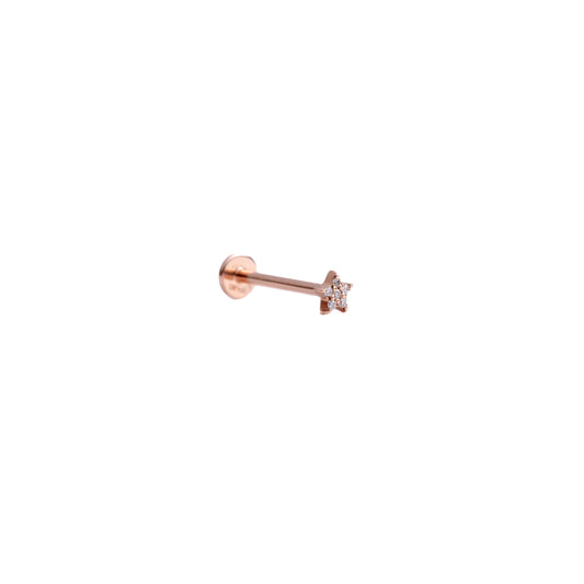 Guidance in Rose Gold - Diamond Threaded Flatback Stud